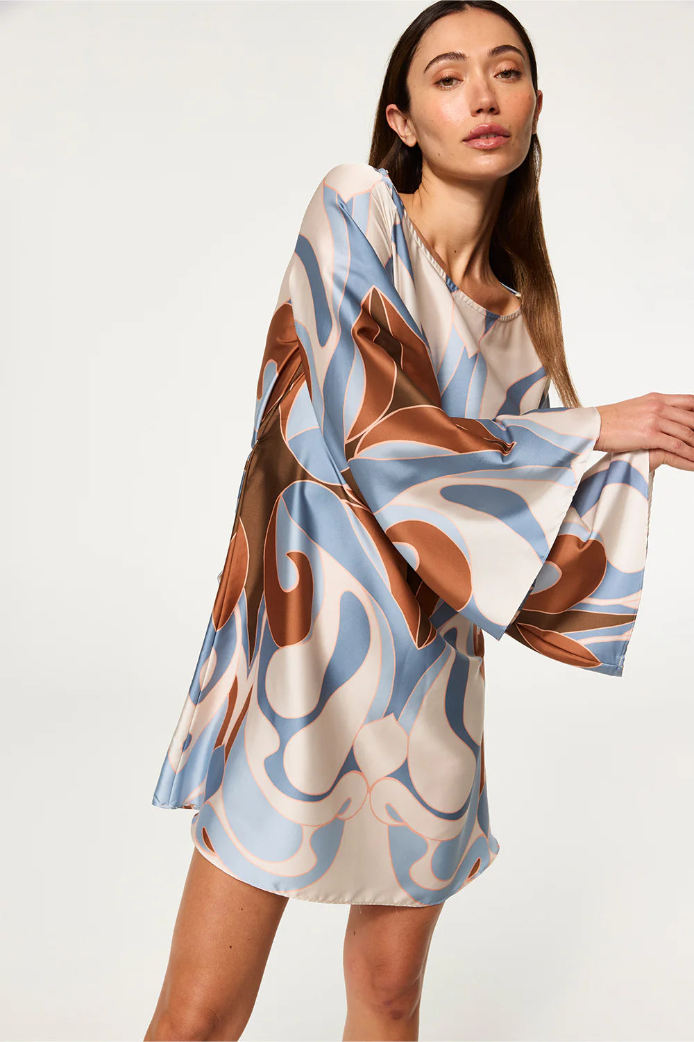 Twiggy Dress Swans All Over