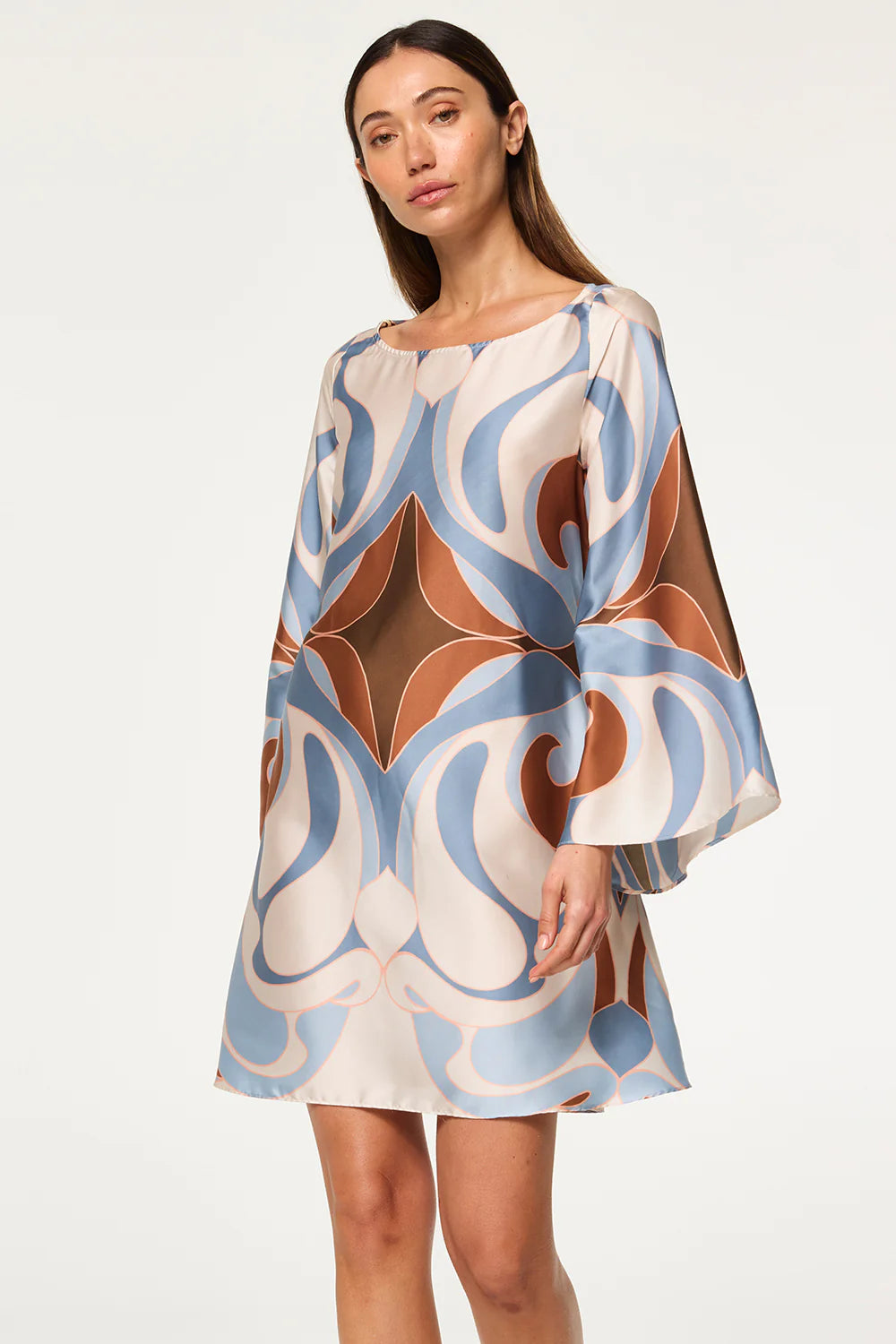 Twiggy Dress Swans All Over