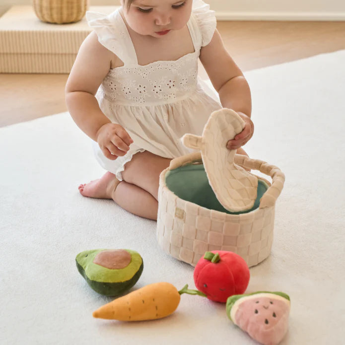 Plush Picnic Activity Set
