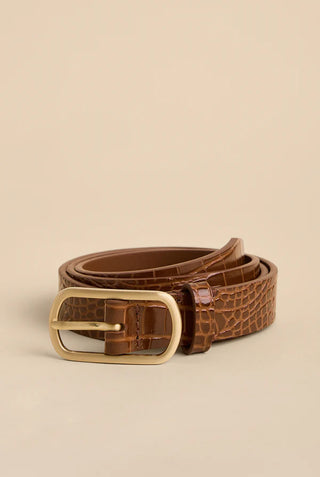 Siren Thin Belt Croc Brown