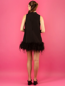 Black Sleeveless Dress with Feather Trim