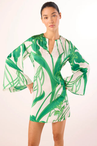 Dusty Dress Winding Iris