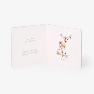 Little Wonders Forest Board Book