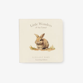Little Wonders Forest Board Book