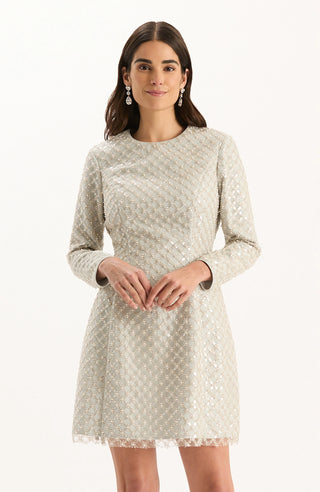 Jacquilyn Silver Pearl Overlay Dress