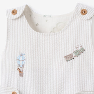 Up & Away Embroidered Gray Seersucker Jon Jon Dreamscape