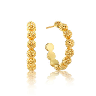 Berry Icon Small Hoop Earrings Gold