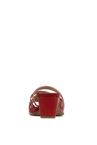 Dayvi Mid Mule Sandal Tomato