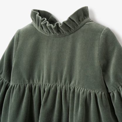 Velveteen Ruffle Collar Dress