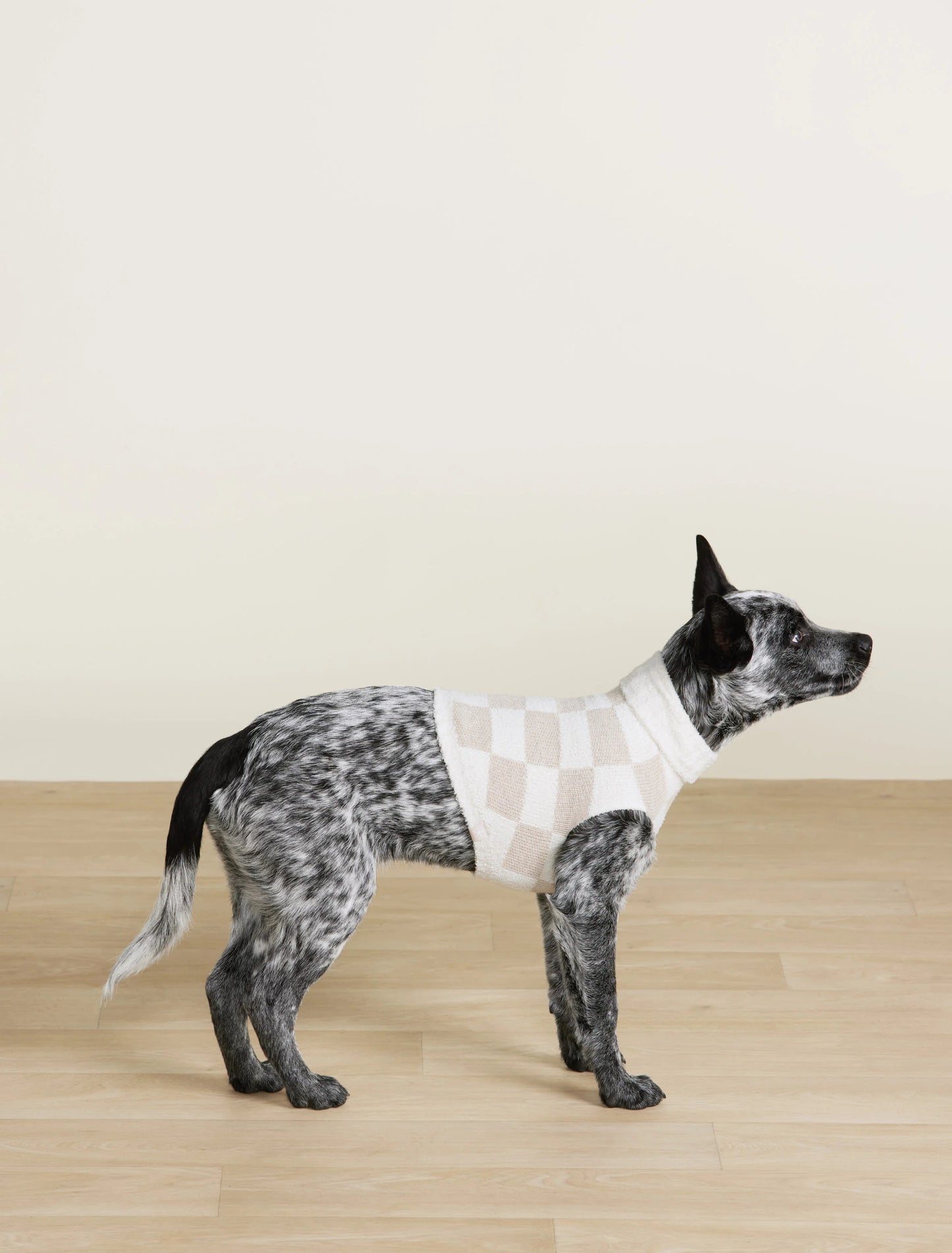 Checkered Pet Sweater Oatmeal/Cream