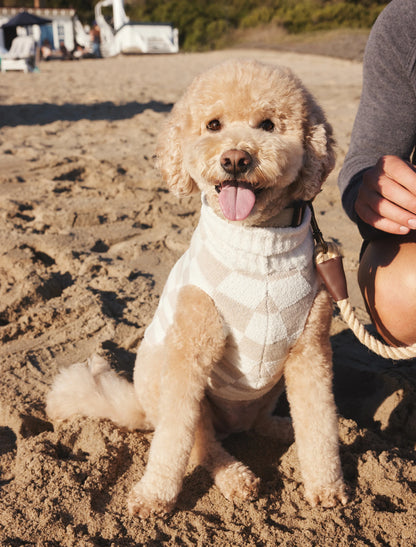 Checkered Pet Sweater Oatmeal/Cream