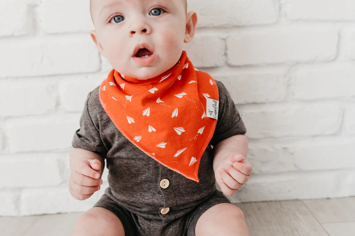 Copper Pearl Ace
Baby Bandana Bibs