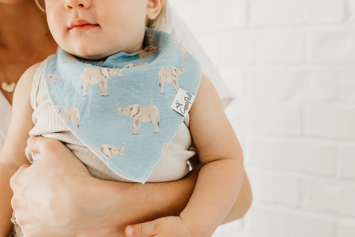 Copper Pearl Peanut
Baby Bandana Bibs