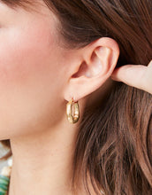 Load image into Gallery viewer, Everyday Hoop Earrings Gold
