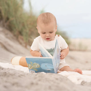 Ocean Adventure - Theo And Wally Book