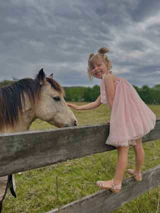 Mael Dress Soft Misty Rose