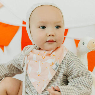 4 Pack Baby Bandana Bibs - Goosie