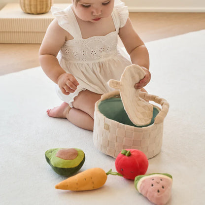 Plush Picnic Activity Set
