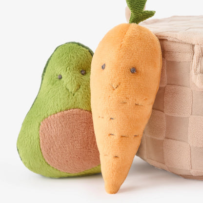 Plush Picnic Activity Set