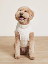 Load image into Gallery viewer, CC Honeycomb Pet Sweater