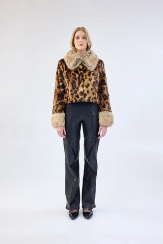 Hidden Tiger Jacket Leopard