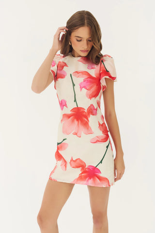 Vatti Dress Ivory/Red X-Ray Floral
