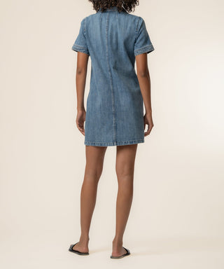 Parker Denim Dress Unfailing Wash