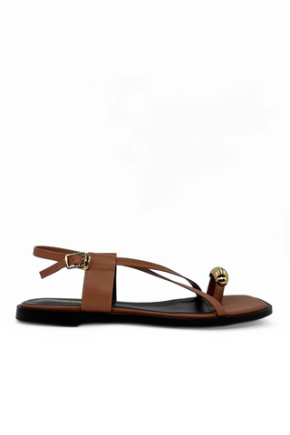 Laney Strappy Gold Toe Loop Sandal Brown