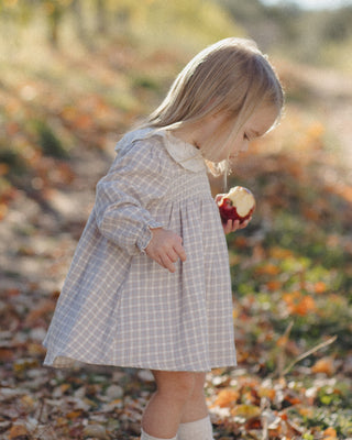 Callie Dress Blue Gingham