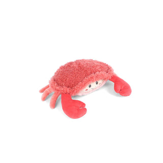 Shaggy The Shy Crab Red
