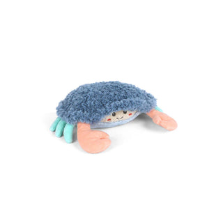 Shaggy The Shy Crab Blue