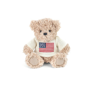 USA Teddy Bear Small
